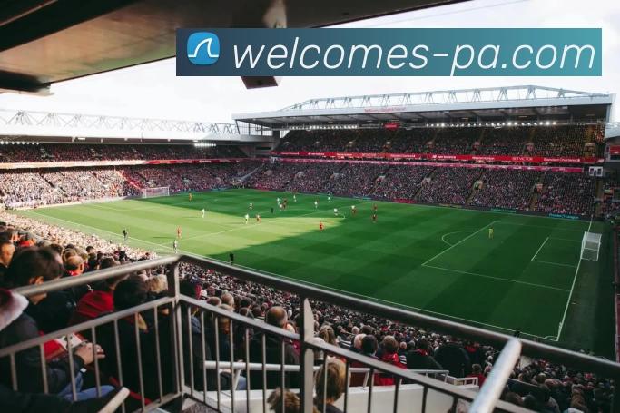 PA官网服务体系