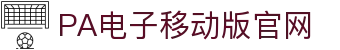 PA电子官网 - 畅玩高品质电子游戏平台